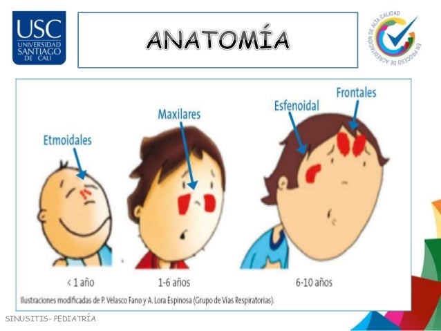 Ofloxacino Unam Ofloxacino Unam