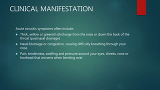 CLINICAL MANIFESTATION
Acute sinusitis symptoms often include:
 Thick, yellow or greenish discharge from the nose or down the back of the
throat (postnasal drainage)
 Nasal blockage or congestion, causing difficulty breathing through your
nose
 Pain, tenderness, swelling and pressure around your eyes, cheeks, nose or
forehead that worsens when bending over
 
