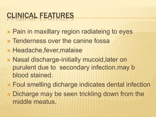 CLINICAL FEATURES
 Pain in maxillary region radiateing to eyes
 Tenderness over the canine fossa
 Headache,fever,malaise
 Nasal discharge-initially mucoid,later on
purulent due to secondary infection.may b
blood stained.
 Foul smelling dicharge indicates dental infection
 Dicharge may be seen trickling down from the
middle meatus.
 