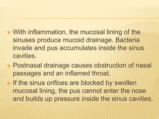  With inflammation, the mucosal lining of the
sinuses produce mucoid drainage. Bacteria
invade and pus accumulates inside the sinus
cavities.
 Postnasal drainage causes obstruction of nasal
passages and an inflamed throat.
 If the sinus orifices are blocked by swollen
mucosal lining, the pus cannot enter the nose
and builds up pressure inside the sinus cavities.
 