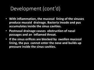 Sinusitis.pptx