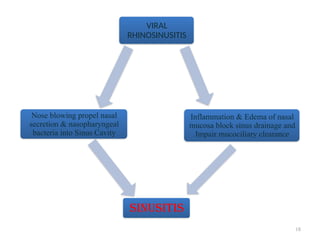 18
VIRAL
RHINOSINUSITIS
Inflammation & Edema of nasal
mucosa block sinus drainage and
Impair mucociliary clearance
SINUSITIS
Nose blowing propel nasal
secretion & nasopharyngeal
bacteria into Sinus Cavity
 