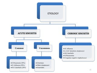 22
ETIOLOGY
ACUTE SINUSITIS
Common
● S.Pneumonia (30%)
● H. Influenza (20%)
● M. Catarrhalis (20%)
Uncommon
● S.Aureaus
● Other streptococci
● Anaerobes
CHRONIC SINUSITIS
● H. Influenza
● α & β hemolytic streptococci
● M.Catarrhalis
● S.Pneumoniae
● Coagulase negative staphylococci
 