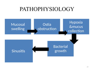 PATHOPHYSIOLOGY
Mucosal
swelling
Ostia
obstruction
Hypoxia
&mucus
collection
Bacterial
growth
Sinusitis
23
 