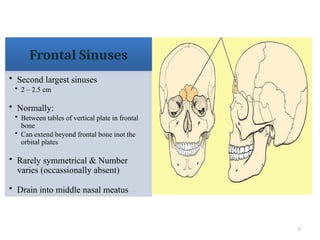 5
Frontal Sinuses
• Second largest sinuses
• 2 – 2.5 cm
• Normally:
• Between tables of vertical plate in frontal
bone
• Can extend beyond frontal bone inot the
orbital plates
• Rarely symmetrical & Number
varies (occassionally absent)
• Drain into middle nasal meatus
 