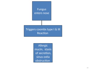 55
Fungus
enters nose
Triggers coombs type I & III
Reaction
Allergic
mucin, stasis
of secretion,
sinus ostia
obstruction
 
