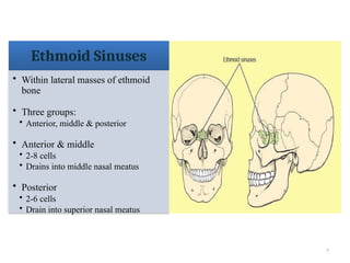7
Ethmoid Sinuses
• Within lateral masses of ethmoid
bone
• Three groups:
• Anterior, middle & posterior
• Anterior & middle
• 2-8 cells
• Drains into middle nasal meatus
• Posterior
• 2-6 cells
• Drain into superior nasal meatus
 