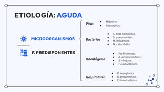 Sinusitis aguda y crónica.pdf