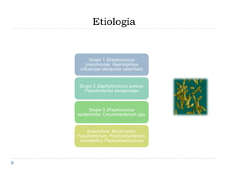 Etiología 
Grupo 1 Streptococcus 
pneumoniae, Haemophilus 
influenzae Moraxella catarrhalis 
Grupo 2 Staphylococcus aureus, 
Pseudomonas aeruginosas 
Grupo 3 Streptococcus 
epidermidis, Corynebacterium spp, 
Anaerobios: Bacteroides, 
Fusobacterium, Propionibacterium, 
prevallella y Peptostreptococcus 
 