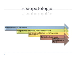 Fisiopatología 
Permeabilidad de los orificios 
Integridad de la mucosa y sistema mucociliar 
Variantes anatómicas en nariz y senos 
paranasales 
Consistencia del moco 
Factores 
inmunitarios: Ig 
A y G 
 