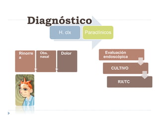 Diagnóstico 
H. clx Paraclínicos 
Rinorre 
a 
Obs. 
nasal 
Dolor Evaluación 
endoscópica 
CULTIVO 
RX/TC 
 
