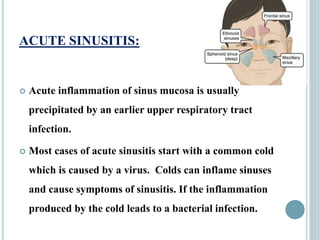ACUTE SINUSITIS:
 Acute inflammation of sinus mucosa is usually
precipitated by an earlier upper respiratory tract
infection.
 Most cases of acute sinusitis start with a common cold
which is caused by a virus. Colds can inflame sinuses
and cause symptoms of sinusitis. If the inflammation
produced by the cold leads to a bacterial infection.
 