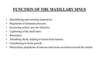 FUNCTION OF THE MAXILLARY SINUS
• Humidifying and warming inspired air.
• Regulation of intranasal pressure.
• Increasing surface area for olfaction.
• Lightening of the skull mass.
• Resonance.
• Absorbing shock, helping to lessen brain trauma.
• Contributing to facial growth.
• Mucociliary propulsion of mucous and serous secretions toward the ostium.
 