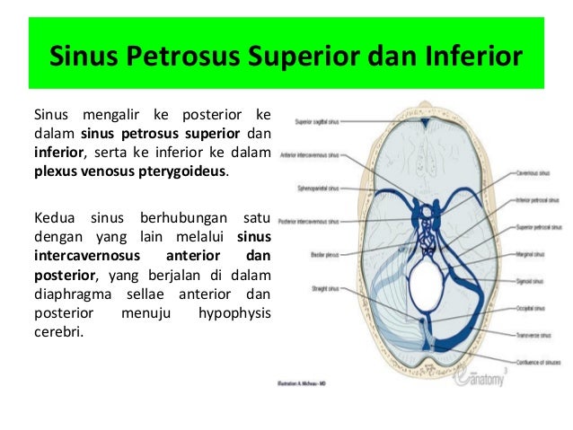 8 Gejala Vertigo Cara Mengatasinya Kompas Com 8 Gejala Vertigo Cara Mengatasinya Kompas Com
