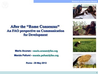 1
Subdirección de Investigación y ExtensiónResearch and Extension Branch
Food and Agriculture
Organization of the
United Nations
After the “Rome Consensus”After the “Rome Consensus”
An FAO perspective on CommunicationAn FAO perspective on Communication
for Developmentfor Development
Mario Acunzo -Mario Acunzo - mario.acunzo@fao.orgmario.acunzo@fao.org
Marzia Pafumi -Marzia Pafumi - marzia.pafumi@fao.orgmarzia.pafumi@fao.org
Rome - 29 May 2012Rome - 29 May 2012
 