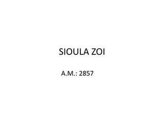 SIOULA ZOI
A.M.: 2857
 
