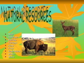 Deer Antelope Buffalo Turkeys Hens Fruit  Vegetables  Water  Wood  NATURAL RESOURCES 