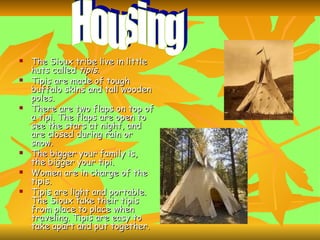 The Sioux tribe live in little huts called  tipis.  Tipis are made of tough buffalo skins and tall wooden poles. There are two flaps on top of a tipi. The flaps are open to see the stars at night, and are closed during rain or snow. The bigger your family is, the bigger your tipi. Women are in charge of the tipis. Tipis are light and portable. The Sioux take their tipis from place to place when traveling. Tipis are easy to take apart and put together. Housing 
