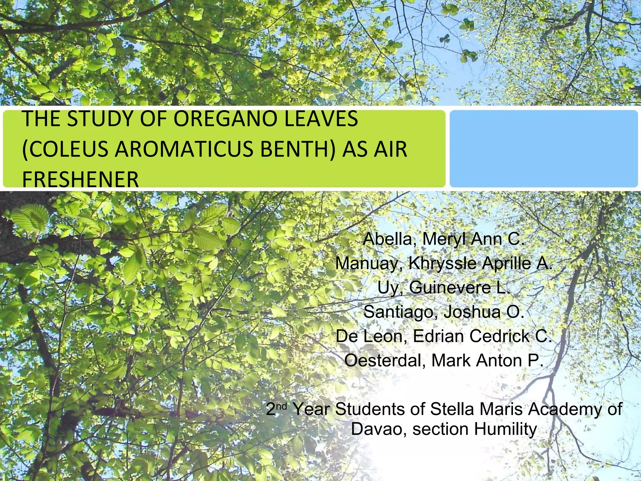 THE STUDY OF OREGANO LEAVES (COLEUS AROMATICUS BENTH) AS AIR FRESHENER Abella, Meryl Ann C. Manuay, Khryssle Aprille A. Uy, Guinevere L. Santiago, Joshua O. De Leon, Edrian Cedrick C. Oesterdal, Mark Anton P. 2 nd  Year Students of Stella Maris Academy of Davao, section Humility 
