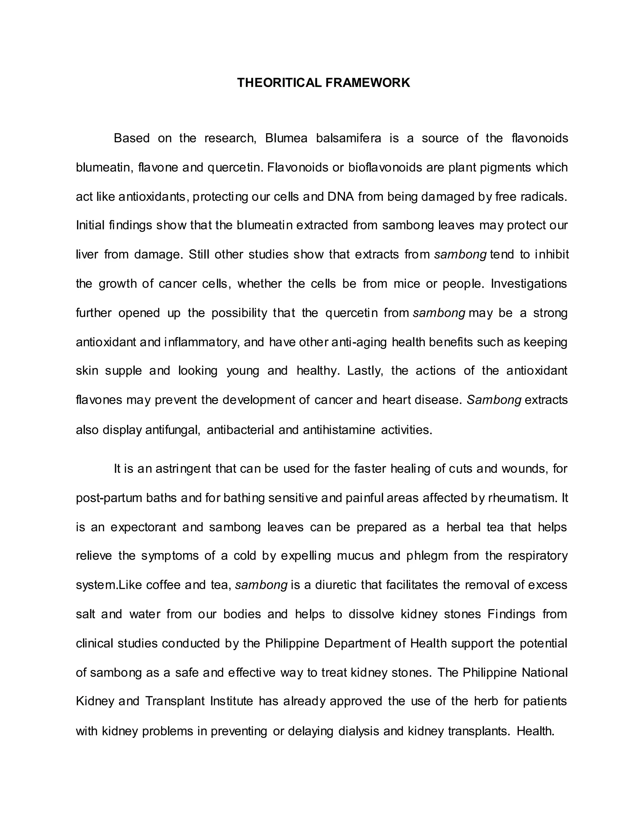 THEORITICAL FRAMEWORK
Based on the research, Blumea balsamifera is a source of the flavonoids
blumeatin, flavone and quercetin. Flavonoids or bioflavonoids are plant pigments which
act like antioxidants, protecting our cells and DNA from being damaged by free radicals.
Initial findings show that the blumeatin extracted from sambong leaves may protect our
liver from damage. Still other studies show that extracts from sambong tend to inhibit
the growth of cancer cells, whether the cells be from mice or people. Investigations
further opened up the possibility that the quercetin from sambong may be a strong
antioxidant and inflammatory, and have other anti-aging health benefits such as keeping
skin supple and looking young and healthy. Lastly, the actions of the antioxidant
flavones may prevent the development of cancer and heart disease. Sambong extracts
also display antifungal, antibacterial and antihistamine activities.
It is an astringent that can be used for the faster healing of cuts and wounds, for
post-partum baths and for bathing sensitive and painful areas affected by rheumatism. It
is an expectorant and sambong leaves can be prepared as a herbal tea that helps
relieve the symptoms of a cold by expelling mucus and phlegm from the respiratory
system.Like coffee and tea, sambong is a diuretic that facilitates the removal of excess
salt and water from our bodies and helps to dissolve kidney stones Findings from
clinical studies conducted by the Philippine Department of Health support the potential
of sambong as a safe and effective way to treat kidney stones. The Philippine National
Kidney and Transplant Institute has already approved the use of the herb for patients
with kidney problems in preventing or delaying dialysis and kidney transplants. Health.
 