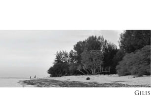 Gilis
 