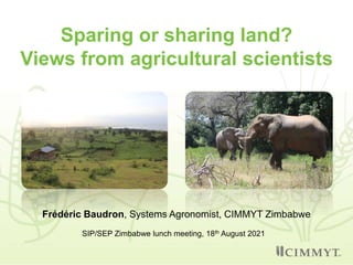 Sparing or sharing land?
Views from agricultural scientists
Frédéric Baudron, Systems Agronomist, CIMMYT Zimbabwe
SIP/SEP Zimbabwe lunch meeting, 18th August 2021
 