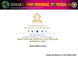 DIRECCION DE CIENCIA Y TECNOLOGÍA
AGROPECUARIA
Ciudad de México, 27 al 29 Abril 2016
Narcizo Meza Linarez
 