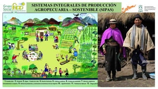 SISTEMAS INTEGRALES DE PRODUCCIÓN
AGROPECUARIA – SOSTENIBLE (SIPAS)
 