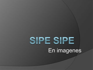 SipeSipe En imagenes 