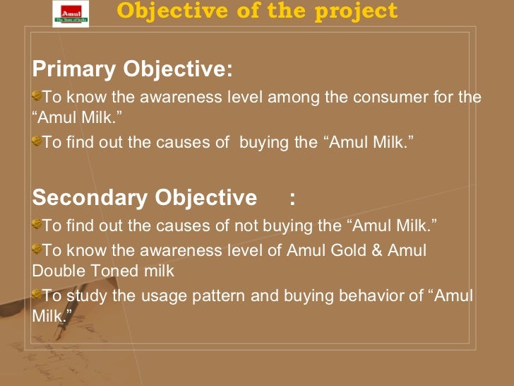 objective of summer internship