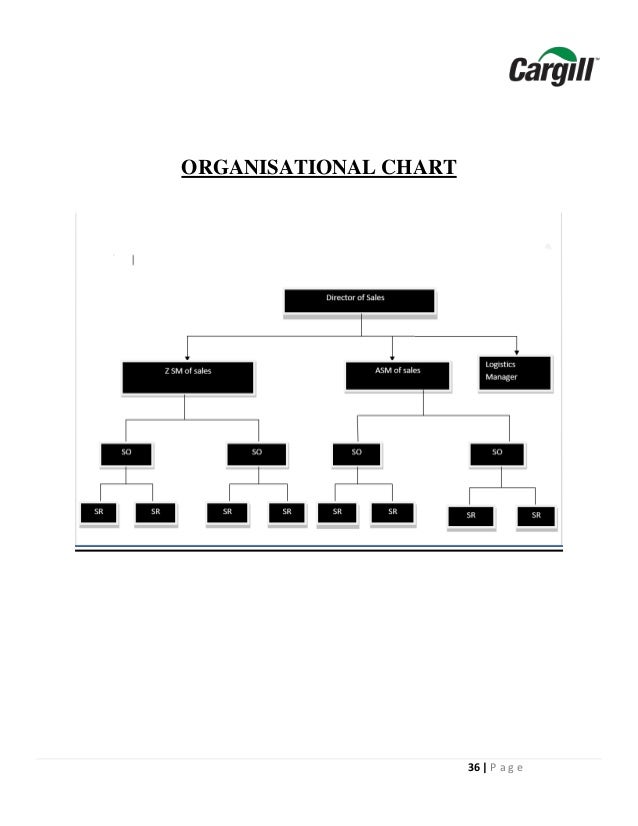 Cargill Organizational Chart