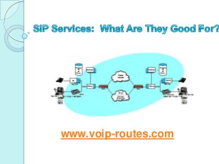 www.voip-routes.com

 