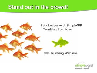 Stand out in the crowd! Be a Leader with SimpleSIP Trunking Solutions SIP Trunking Webinar 