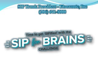 SIP Trunk Providers - Flowroute, Inc (206) 641-8000