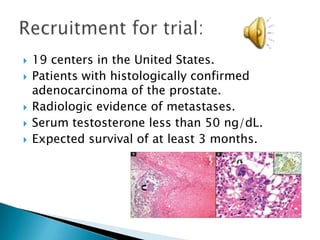 127 patients with asymptomatic metastatic hormone refractory prostate cancer.2:1 ratio to receive three infusions of sipuleucel-T (n = 82) or placebo (n = 45) every 2 weeks.PATIENTS AND METHODS: