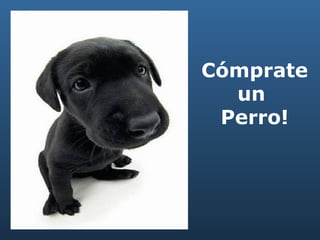 Cómprate un  Perro! 