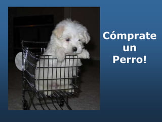 Cómprate
un
Perro!
 