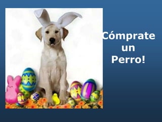 Cómprate
un
Perro!
 