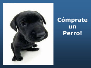 Cómprate
un
Perro!
 