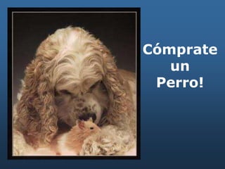 Cómprate
un
Perro!
 