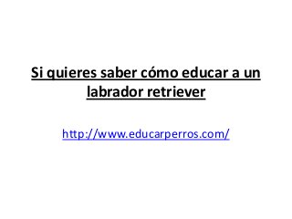 Si quieres saber cómo educar a un
         labrador retriever

    http://www.educarperros.com/
 