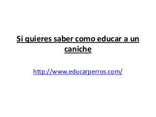 Si quieres saber como educar a un
              caniche

    http://www.educarperros.com/
 