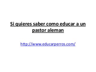 Si quieres saber como educar a un
          pastor aleman

    http://www.educarperros.com/
 