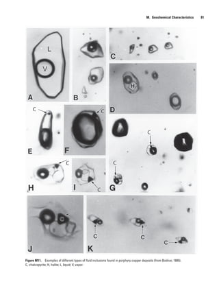 Figure M11.  Examples of different types of fluid inclusions found in porphyry copper deposits (from Bodnar, 1995).
C, chalcopyrite; H, halite; L, liquid; V, vapor.
M.  Geochemical Characteristics   81
 