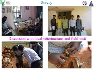 Assessment of economic impact of priority animal disease (PPR, HS and Brucellosis) and the cost effectiveness of their control strategies in India: ICAR-ILRI Midterm Review Meeting  