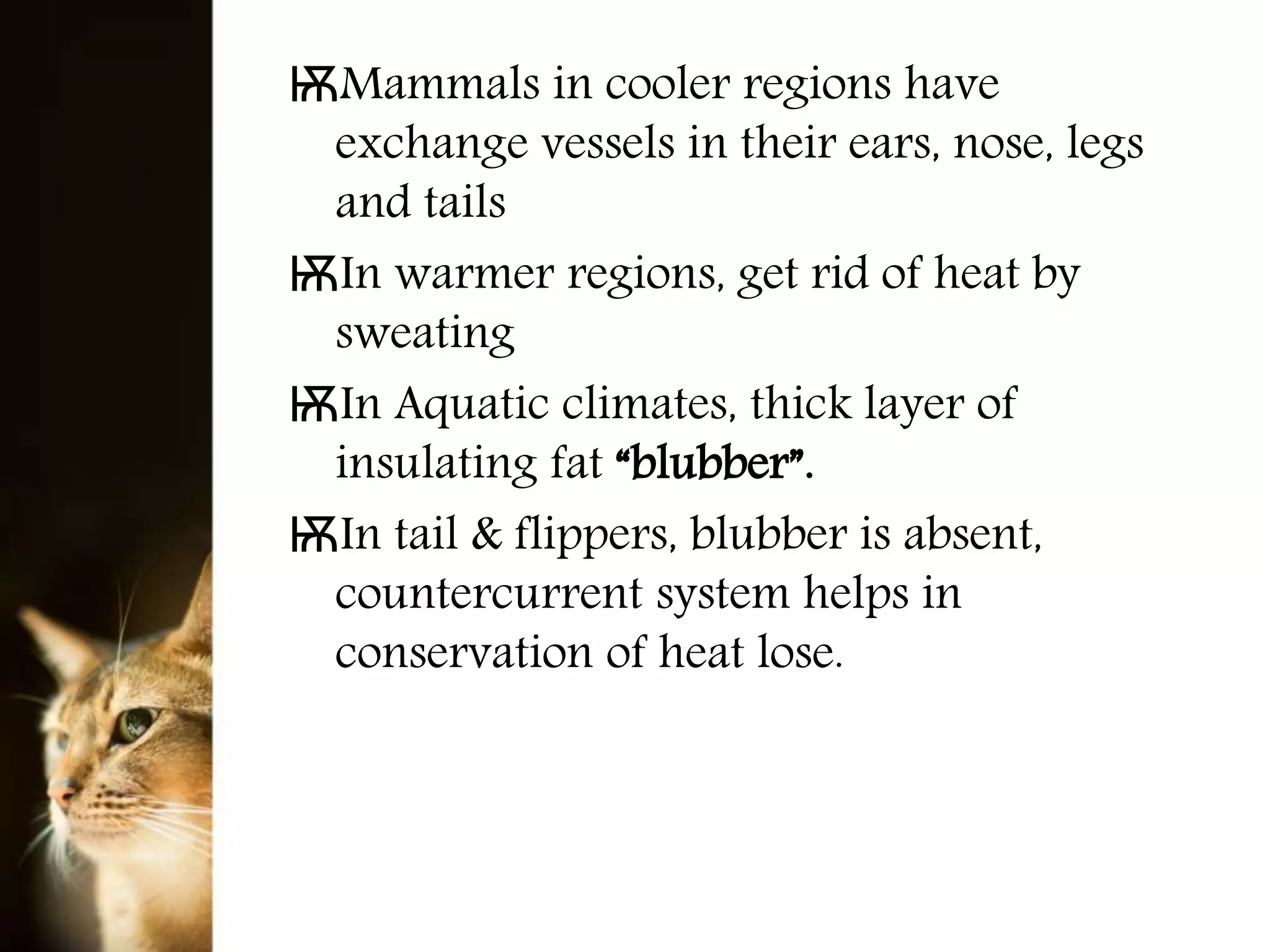 ѬMammals in cooler regions have
exchange vessels in their ears, nose, legs
and tails
ѬIn warmer regions, get rid of heat by
sweating
ѬIn Aquatic climates, thick layer of
insulating fat “blubber”.
ѬIn tail & flippers, blubber is absent,
countercurrent system helps in
conservation of heat lose.
 