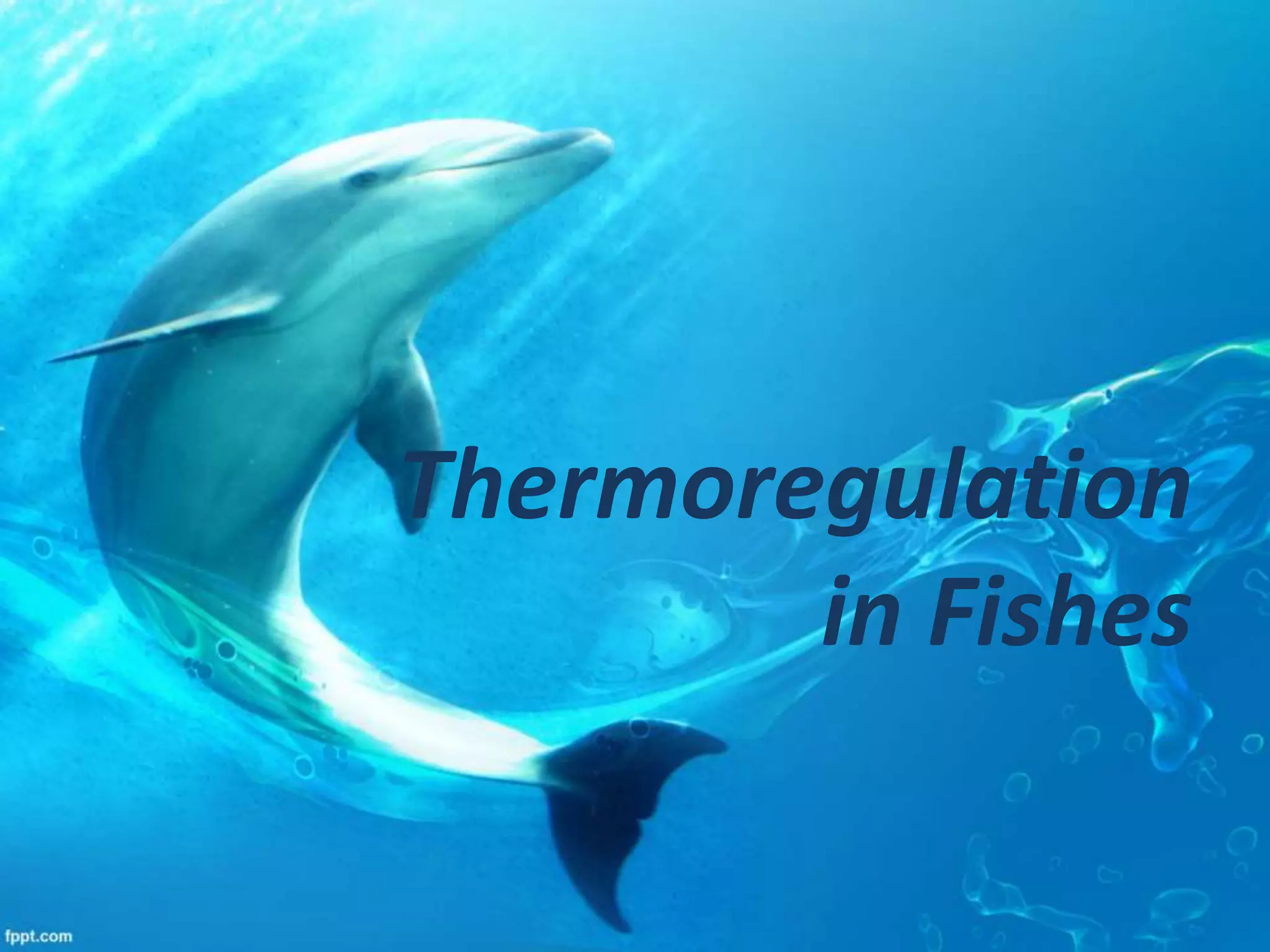 Thermoregulation
in Fishes
 