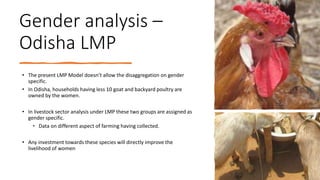Livestock research for livelihoods: The case of LMPs