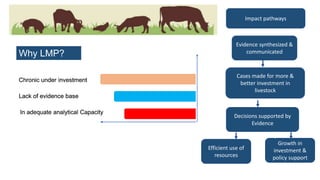 Livestock research for livelihoods: The case of LMPs