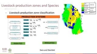Livestock research for livelihoods: The case of LMPs